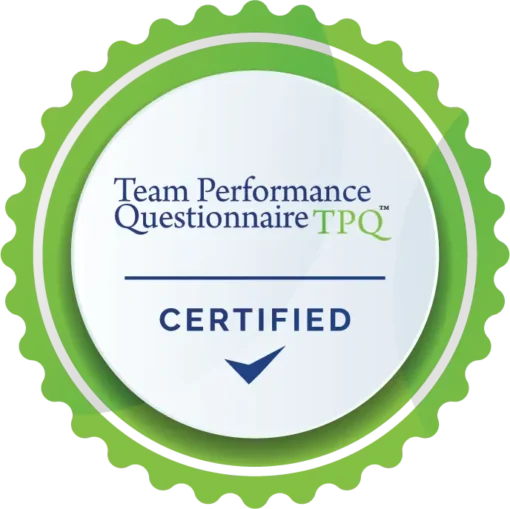 Modified Team Performance Questionnaire Team Performance Questionnaire - Jamesson Solutions